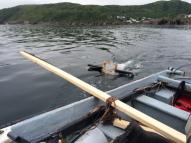 An "Arm" for DIY trawling fashioned from a 2x4 and lashed to a small pleasure craft. The trawl is LADI rather than BabyLegs, but the arm is the same. We used a pole and hook to bring the trawl in from the water. The arm keeps the trawl out of the wake of the boat.